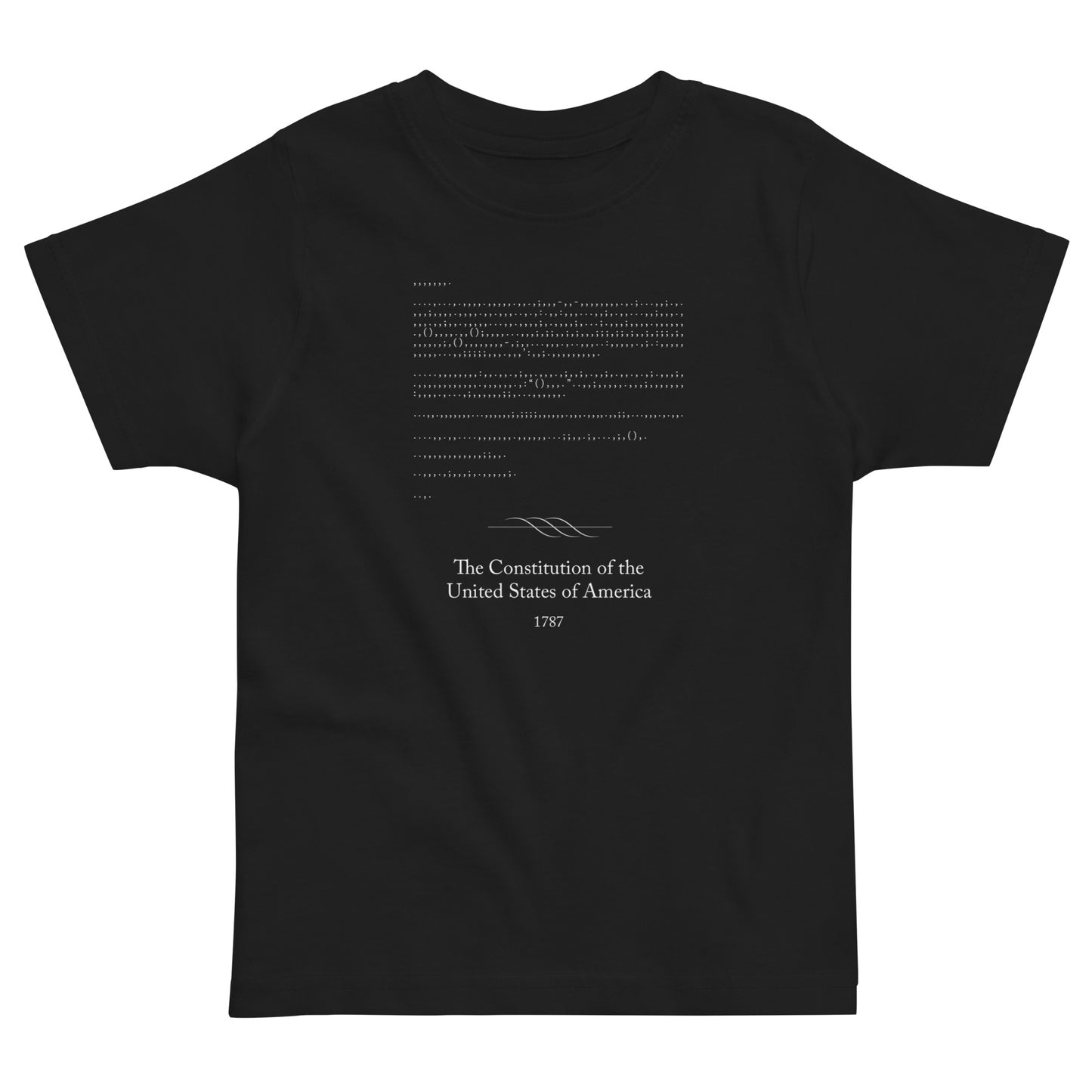 Constitution - Toddler jersey t-shirt